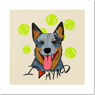 Australian Cattle dog Posters and Art